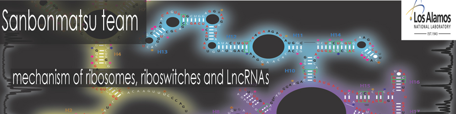 Welcome to the Sanbonmatsu Team